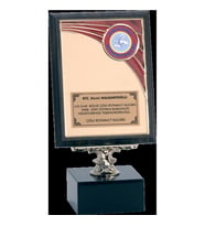 ODAK KUPA - Ahşap Plaketler - PL-074 B - 15x20 cm