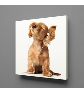 MÜZİK DİNLEYEN KÖPEK KANVAS TABLO 180x180cm