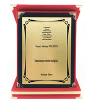 Tebrik,Teşekkür,Kutlama,Özel Gün Plaketi