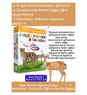 Premium Eğitici Görsel Algı Zeka Eğlenceli Öğrenme Orman Hayvanları Ve Araçlar Eğitim Kartları