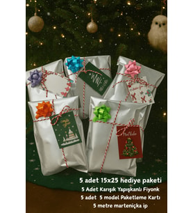Gümüş Paketleme Seti  Fiyonklu Kartlı 15x25 Hediye Poşeti - Yılbaşı Hediye Poşeti