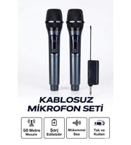 Profesyonel Çiftli Kablosuz Mikrofon Seti Karaoke Şarj Edilebilir 50 Metre