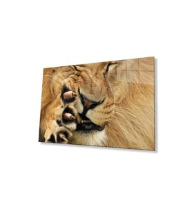 Aslan Cam Tablo 4mm Dayanıklı Temperli Cam (Çok Renkli)