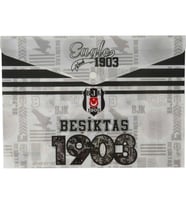 TMN DOS-1903 BEŞİKTAŞ ÇITÇITLI DOSYA 464501