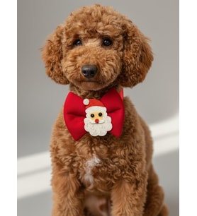 Rudolph Küçük Irk Köpek Papyon Tasması  Kırmızı Fiyonk Boyun Aksesuarı  Noel Temalı Köpek Süsü