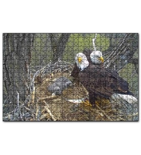 Cakapuzzle Yuvalarında Kartallar ve Yavruları  Puzzle Yapboz MDF (Ahşap) (120 Parça)