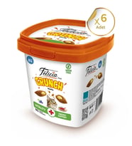 Felicia Crunch Vitality Kedi Ödülü 100 gr 6'lı