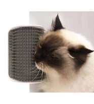Kedi Köpek Kaşınma Sürtünme Tüy Tarama Masajı Köşe Kenar Fırça