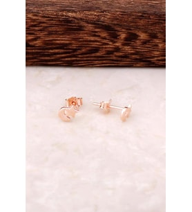 Ay Yıldız Rose Gümüş Tasarım Mini Küpe 4342