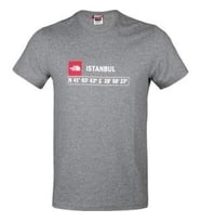 The North Face M S/S GPS TEE  ISTANBUL REC Erkek T-Shirt NF0A7ZC2DYY1 (Gri)