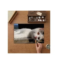 Yatan Beyaz Sevimli Kedi Tasarımı 240 parça Ahşap Puzzle Ahşap Kutuda MP04988