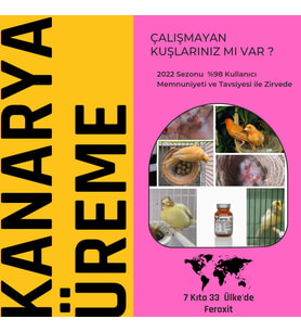 FEROXİT KANARYA ÜREME MİX 100 Gr KIZIŞTIRICI VE E VİTAMİNİ