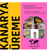 FEROXİT KANARYA ÜREME MİX 100 Gr KIZIŞTIRICI VE E VİTAMİNİ