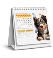 2026 KÖPEK COLOR MASA TAKVİMİ-16X15 CM-SERT TAŞIYICILI-SPİRALLİ