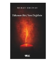 Tükenen Bir / Sen Değilsin