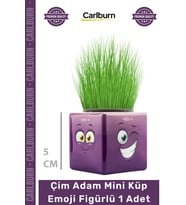 #ÇimAdam Hediyelik Eğitici Doğal Oyuncak Dekoratif Tasarım Çim Adam Mini Küp Emoji Figürlü 1 Adet
