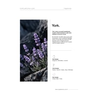 YORK 100 ML NICHE PARFÜM