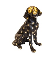 AV KÖPEĞİ C 4241 BİBLO (Siyah)