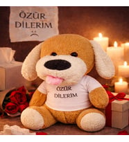 Özür Dilerim Tişörtlü Peluş Oyuncak Köpek