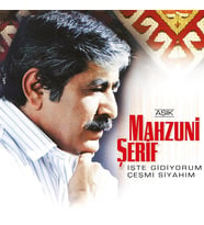 Aşık Mahzuni Şerif İşte Gidiyorum Çeşmi Siyahım - Plak (Standart)