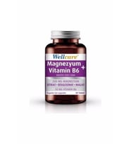 Wellcare Magnezyum + Vitamin B6 30 Tablet