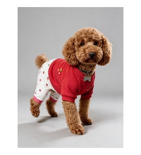 Tatlı Çilek Duo – Çilekli Köpek Tulum & Sweat Kombini
