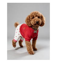 Tatlı Çilek Duo – Çilekli Köpek Tulum & Sweat Kombini