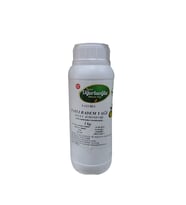 UĞURLUOĞLU SHEA BUTTER YAĞI 1 KG