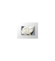 DBSanatevi Georgia Okeeffe - White Trumpet Flower Tablo 50 X 70 Cm
