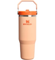 Stanley Iceflow Flip Straw Tumbler Pipetli Termos Su Şişesi 0.89 Litre - Orange Sherbet Paslanmaz