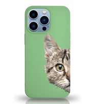 Apple iPhone 13 Pro Max Uyumlu Lansman Kılıf Catface Tasarımlı Altı Kapalı İçi Kadife Kaplı  Kapak (Şeffaf)