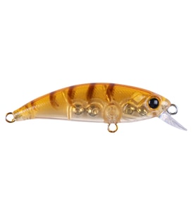 Zipir K-11 Honey Shrimp