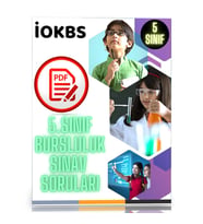 5. Sınıf Bursluluk Sınav Soruları (PDF Sorular Kitabı)