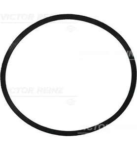 VICTOR REINZ 713447300 Emme Manifold Contasi A6110940080