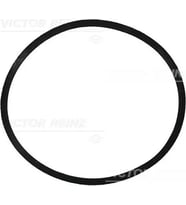 VICTOR REINZ 713447300 Emme Manifold Contasi A6110940080