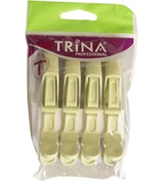 Trina Dragon Pens 4 Lu