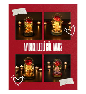 Ayıcıklı Ledli Gül Fanus