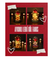 Ayıcıklı Ledli Gül Fanus