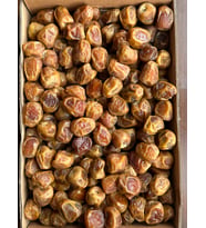 Yeni Mahsul Doğal Organik Yaş Hurma (Sukkari) 1kg
