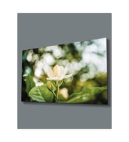 Çiçek Cam Tablo 4mm Dayanıklı Temperli Cam White flower Glass Wall Art (Çok Renkli)