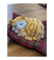 Peluş Yavru Kedi Oyuncak Minder Üstünde Uyuyan Kedi Orta Boy