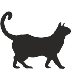 KEDİ FOLYO STİCKER 40cm Uzunluk