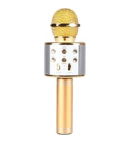 Karaoke Mikrofon - Rose Gold 858
