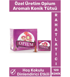 Rahatlatıcı Arındırıcı İyileştirici Ev Ofis Meditasyon Yoga Chakra Pozitif Enerji 120 Konik Tütsü