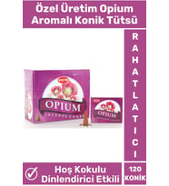 Rahatlatıcı Arındırıcı İyileştirici Ev Ofis Meditasyon Yoga Chakra Pozitif Enerji 120 Konik Tütsü