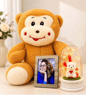 Kişiye Özel Fotoğraflı LED Işıklı Beyaz Ayıcıklı Fanus ve Sevimli Peluş Maymun Sevgiliye Kadına Hediye