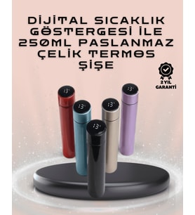 250Ml Led Ekranlı Paslanmaz Çelik Akıllı Termos
