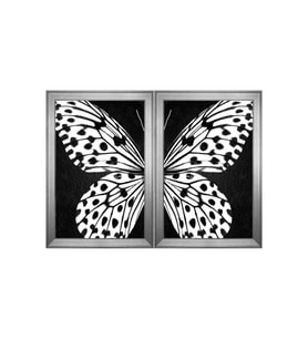 Siyah Beyaz Kelebekler Temalı 2 li Kanvas Tablo Seti 80 x 110 cm Silver Çerçeve