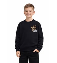 Erkek Çocuk Önü Baskılı Sweatshirt BGL-ST05238 (Siyah)