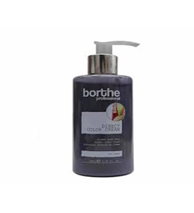 Borthe Direkt Krem Boya 200 ml Gümüş